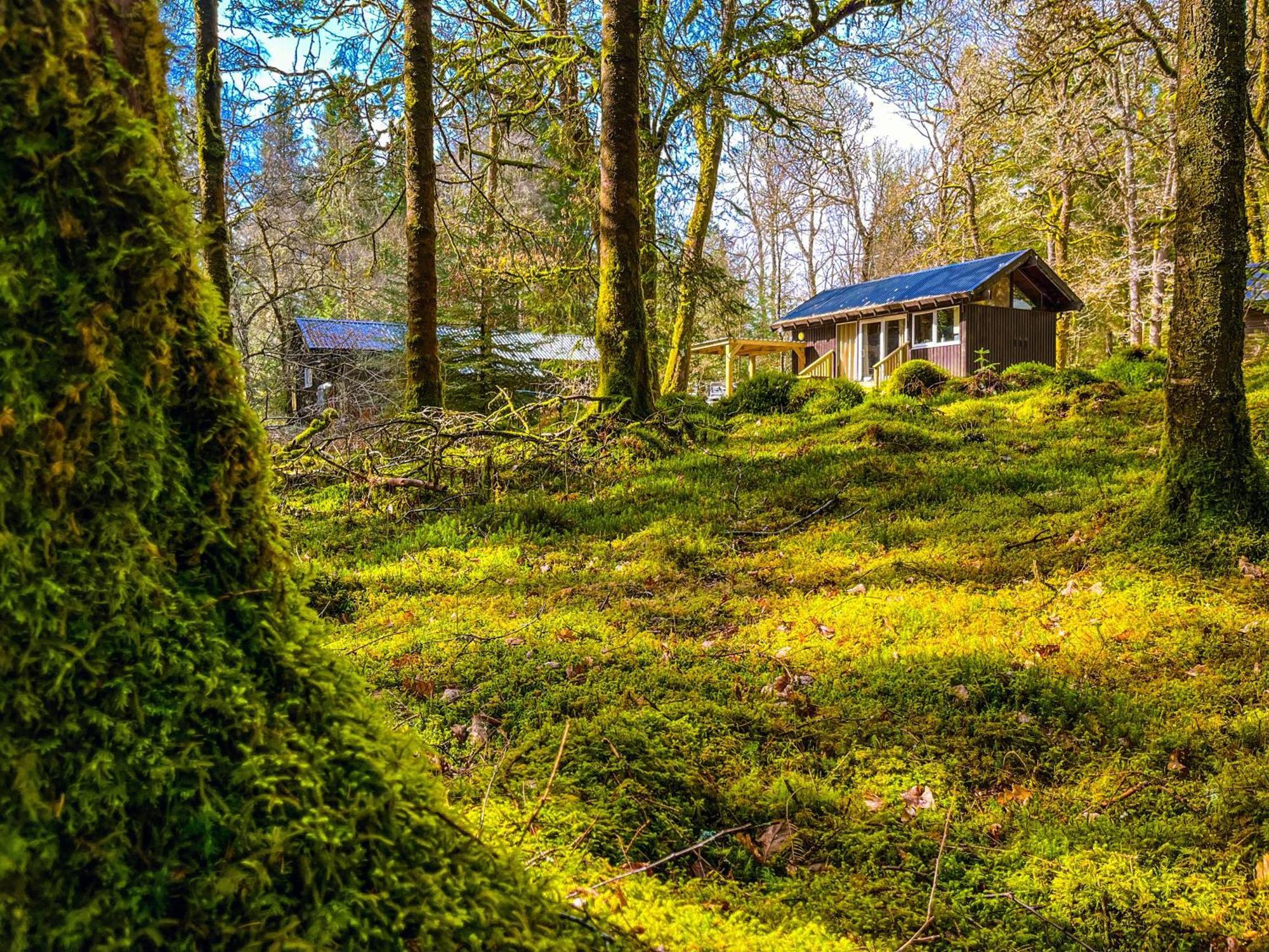 Loch Aweside Forest Cabins Dalavich Zimmer foto